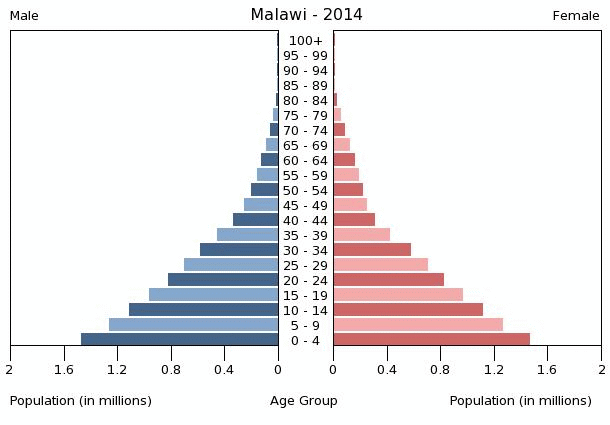 malawi-age-structure-demographics