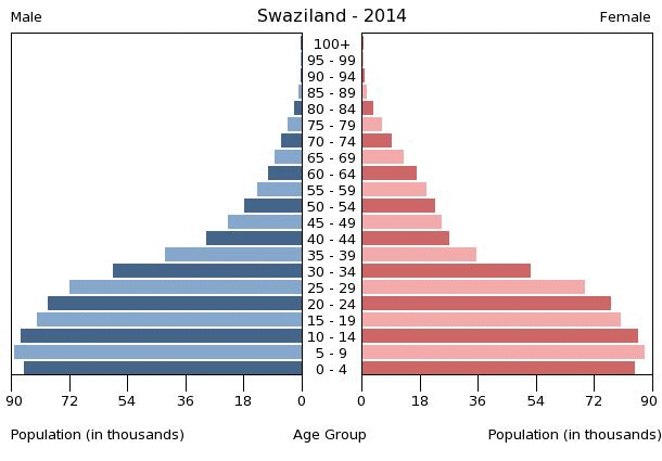 Swaziland Age Structure Demographics