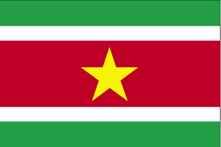 Suriname Flag Description Government