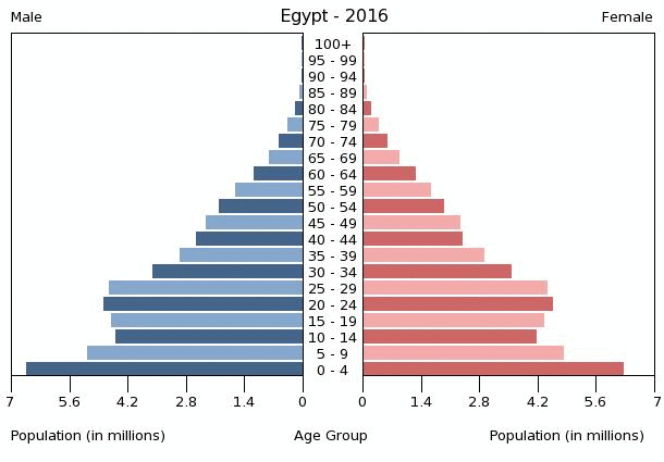 Egypt Age Structure Demographics   Egypt Population Pyramid 2016 