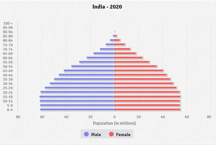 India Age structure Demographics