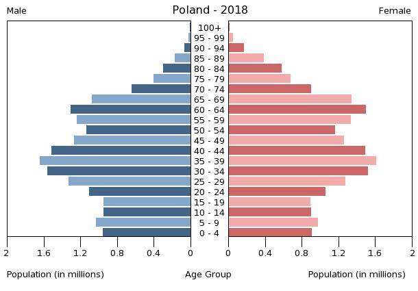 pyramida poland demography