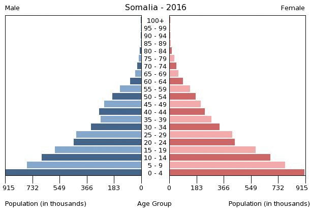 fertility chart example Somalia  structure  Demographics Age