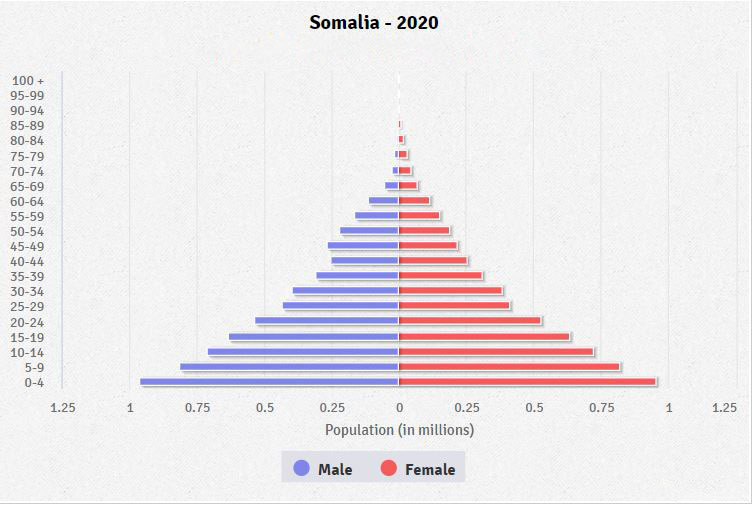 Somalia Age structure Demographics