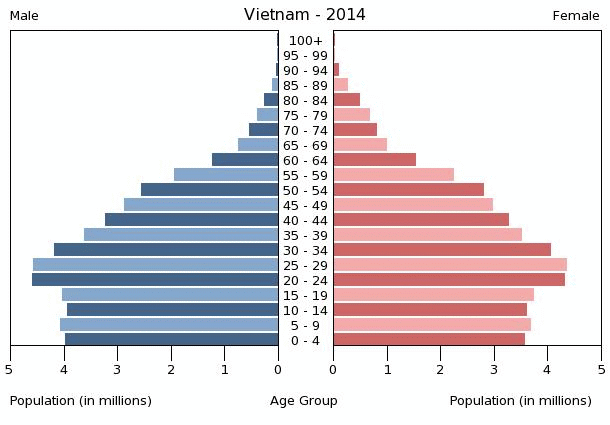 Vietnam Age structure - Demographics